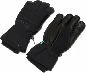 Oakley B1B Glove Blackout L SkI Handschuhe