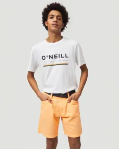 O'Neill Roadtrip Shorts Orange #290250