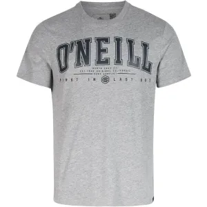 O'Neill STATE MUIR T-SHIRT Herrenshirt, grau, größe L