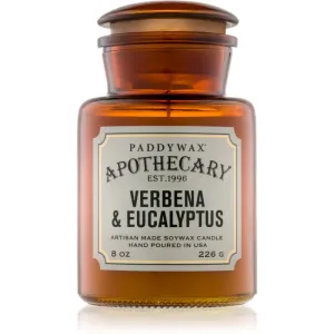 Paddywax Apothecary Verbena & Eucalyptus Duftkerze 226 g