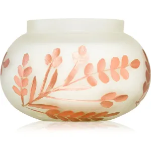 Paddywax Cypress & Fir Frosted White Glass with Copper Metallic Branch Etching Duftkerze 255 g