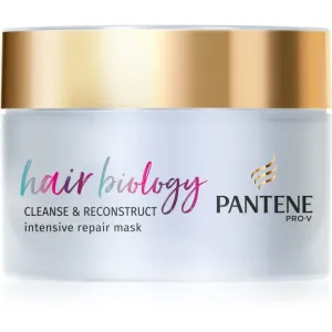 Pantene Hair Biology Cleanse & Reconstruct Maske für die Haare für fettiges Haar 160 ml