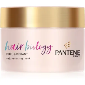 Pantene Hair Biology Full & Vibrant Maske für die Haare für geschwächtes Haar 160 ml