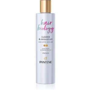 Pantene Hair Biology Cleanse & Reconstruct Shampoo für fettiges Haar 250 ml