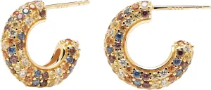 PDPAOLA Luxuriöse vergoldete Ohrringe Kreise mit Zirkonen TIGER AR01-291-U