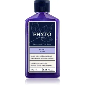 Phyto Purple No Yellow Shampoo tönendes Shampoo für die Neutralisierung der gelben Töne 250 ml