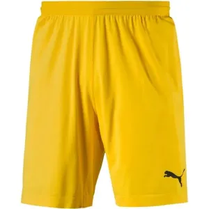 Puma FINAL evoKNIT GK Shorts Shorts für Torhüter, gelb, größe S