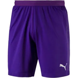 Puma FINAL evoKNIT GK Shorts Shorts für Torhüter, violett, größe M