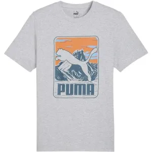 Puma GRAPHIC MOUNTAIN TEE Herren-T-Shirt, grau, größe L