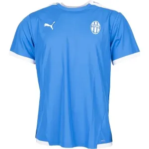 Puma TEAM LIGA JERSEY Herren Fußballshirt, blau, größe L
