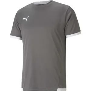 Puma TEAM LIGA JERSEY Herren Fußballshirt, grau, größe S