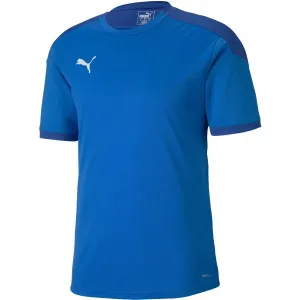 Puma TEAM FINAL 21 TRAINING JERSEY Herrenshirt, blau, größe XL