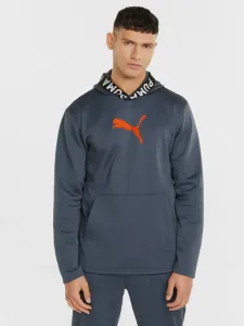 Puma Sweatshirt Grau #1028038