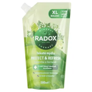 Radox Flüssigseife mit antibakterieller Komponente Protect & Refresh - Nachfüllpackung 500 ml