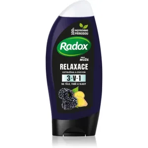 Radox Men Feel Wild Duschgel für Gesicht, Körper und Haare für Herren Blackberry & Ginger 225 ml