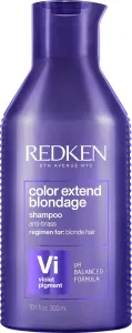 Redken Shampoo, das gelbe Haartöne neutralisiert Color Extend Blondage (Shampoo) 300 ml - new packaging