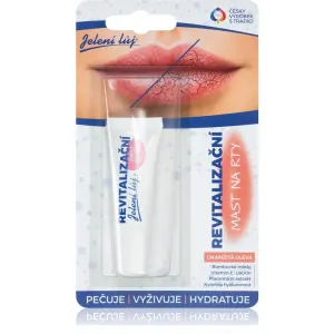 Regina Revitalizační mast na rty Lippensalbe für trockene und rissige Haut 10 ml
