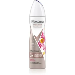 Rexona Maximum Protection Bright Bouquet Antitranspirant-Spray gegen übermäßiges Schwitzen Extra Strong 150 ml