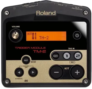 Roland TM-2