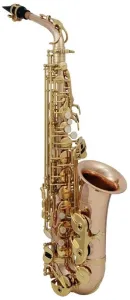 Roy Benson AS-202G Alt Saxophon