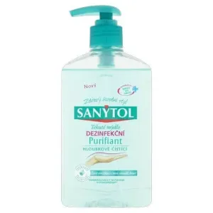 Sanytol Desinfektionsmittel Flüssigseife Tiefenreinigung Purifiant 250 ml