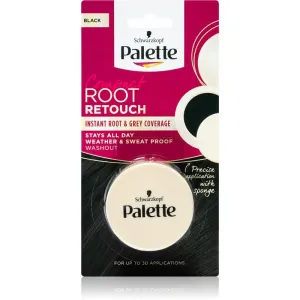 Schwarzkopf Palette Compact Root Retouch Haarfärbestift für Ansätze und graues Haar mit Pudereffekt Farbton Black 3 g