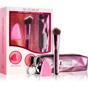 Sigma Beauty 3DHD® Perfect Complexion Set Pinselset mit Etui