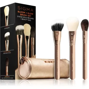 Sigma Beauty Brush Set Bloom + Glow Pinselset mit Etui