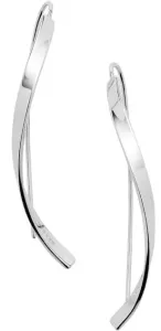 Skagen Elegante Stahl-Ohrringe SKJ1199040