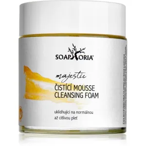 Soaphoria Care Feuchtigkeit spendender und aufhellender Reinigungsschaum für empfindliche Haut 100 ml #309697