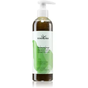 Soaphoria Hair Care organisches Flüssigshampoo für fettige Haare 250 ml #306259