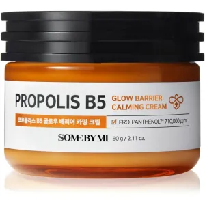 Some By Mi Propolis B5 Glow Barrier beruhigende und hydratisierende Creme regeneriert die Hautbarriere 60 g