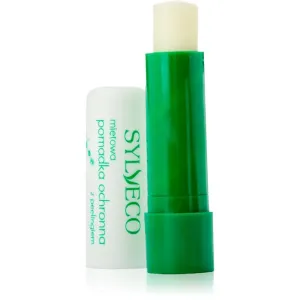 Sylveco Lip Care Peeling-Balsam für Lippen 4,6 g