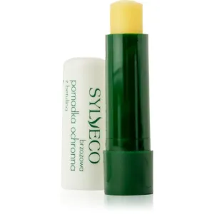 Sylveco Lip Care schützendes Lippenbalsam mit Bambus Butter 4,6 g