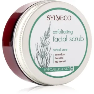 Sylveco Face Care Gesichtspeeling für das Verfeinern der Poren und ein mattes Aussehen der Haut 75 ml