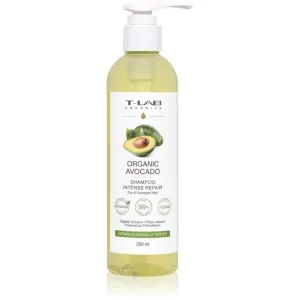 T-LAB Organics Organic Avocado Intense Repair Shampoo erneuerndes Shampoo für beschädigtes und brüchiges Haar 250 ml
