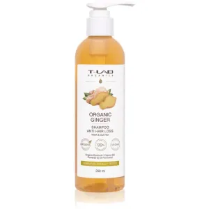 T-LAB Organics Organic Ginger Anti Hair Loss Shampoo stärkendes Shampoo für schütteres Haar 250 ml