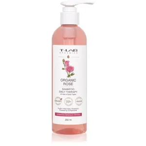 T-LAB Organics Organic Rose Daily Therapy Shampoo beruhigendes Shampoo für alle Haartypen 250 ml