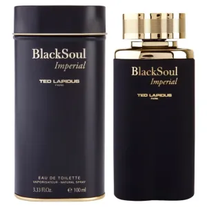 Ted Lapidus Black Soul Imperial Eau de Toilette für Herren 100 ml #295113