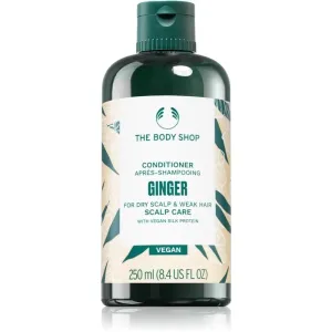 The Body Shop Ginger Conditioner für trockene Haut 250 ml