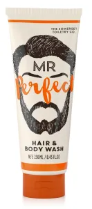 The Somerset Toiletry Co. Mr. Perfect Hair and Body Wash – Spearmint and Patchouli Reinigungsgel für Haut und Haar für Herren 250 ml