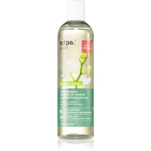 Tołpa Green Normalizing Shampoo für fettige Haare 300 ml