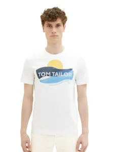 Tom Tailor Herren T-Shirt 1036328.10332 L