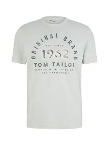 Tom Tailor Herren T-Shirt Regular Fit 1035549.30869 M