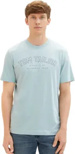 Tom Tailor Herren T-Shirt Regular Fit 1037736.30463 L