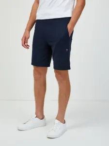 Tommy Hilfiger Herren Shorts Regular Fit UM0UM02678-DW5 S