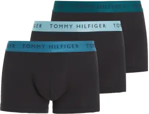 Tommy Hilfiger 3 PACK - Herren Boxershorts UM0UM03028-0YZ L