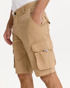 Tommy Jeans Cargo Shorts Braun