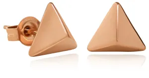 Troli Bronzene dreieckige Ohrringe aus Stahl VAAXF063R