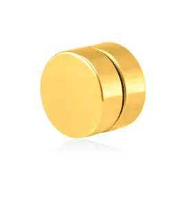 Troli Vergoldeter magnetischer Single-Ohrring 2in1 (Ohrstecker, Minibrosche) VSE6018G-PET